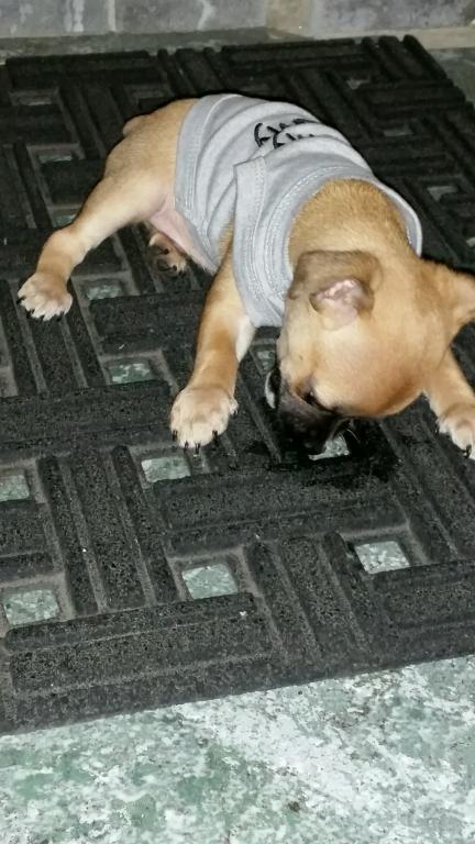 I love my mommy shirt.jpg