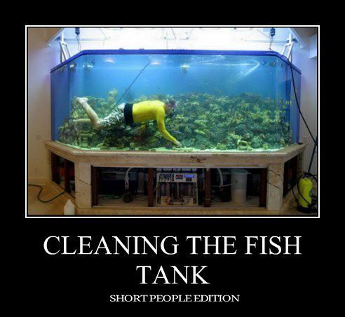 if-you-dont-live-near-an-ocean-make-one.jpeg.jpg