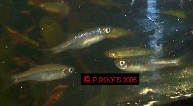 IMAG002.jpg
