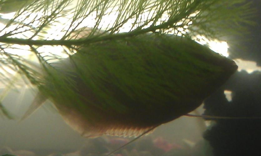 IMAG0086.jpg