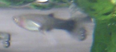 IMAG0414.jpg