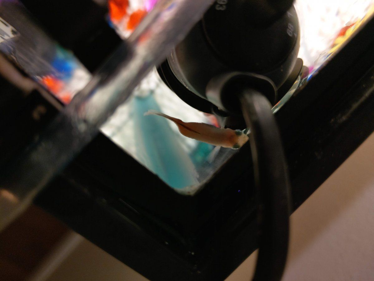 IMAG0836.jpg