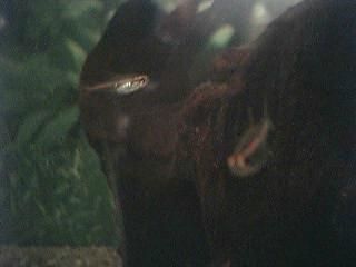 Image007.jpg