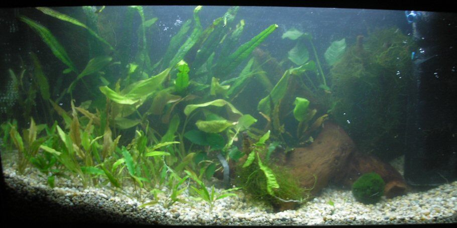 Image9.jpg