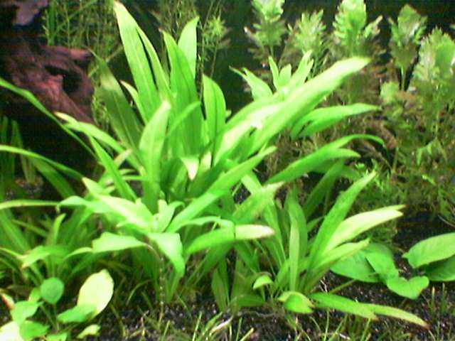 Image_029_.jpg