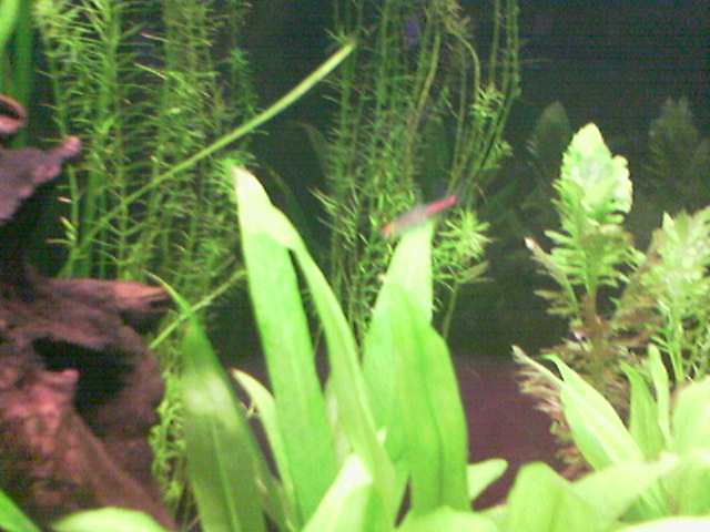 Image_032_.jpg