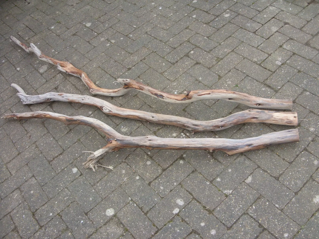 image_2025-03-27_115156306.png