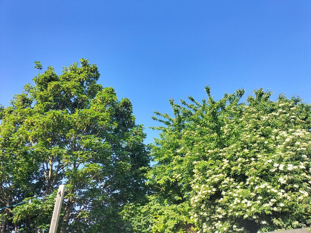 image_2025-05-23_100022770.png