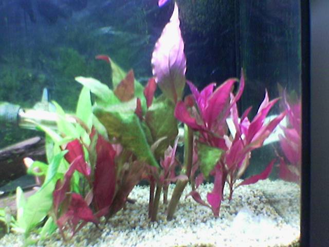 Image_349_.jpg