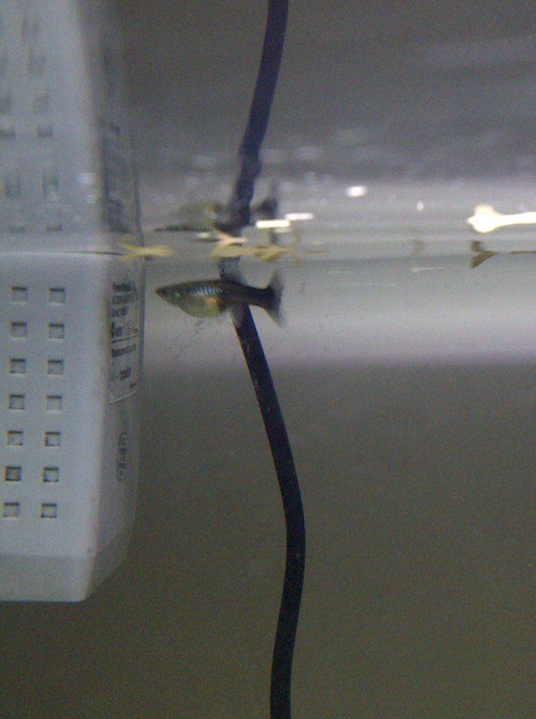 IMG-20131211-01324.jpg
