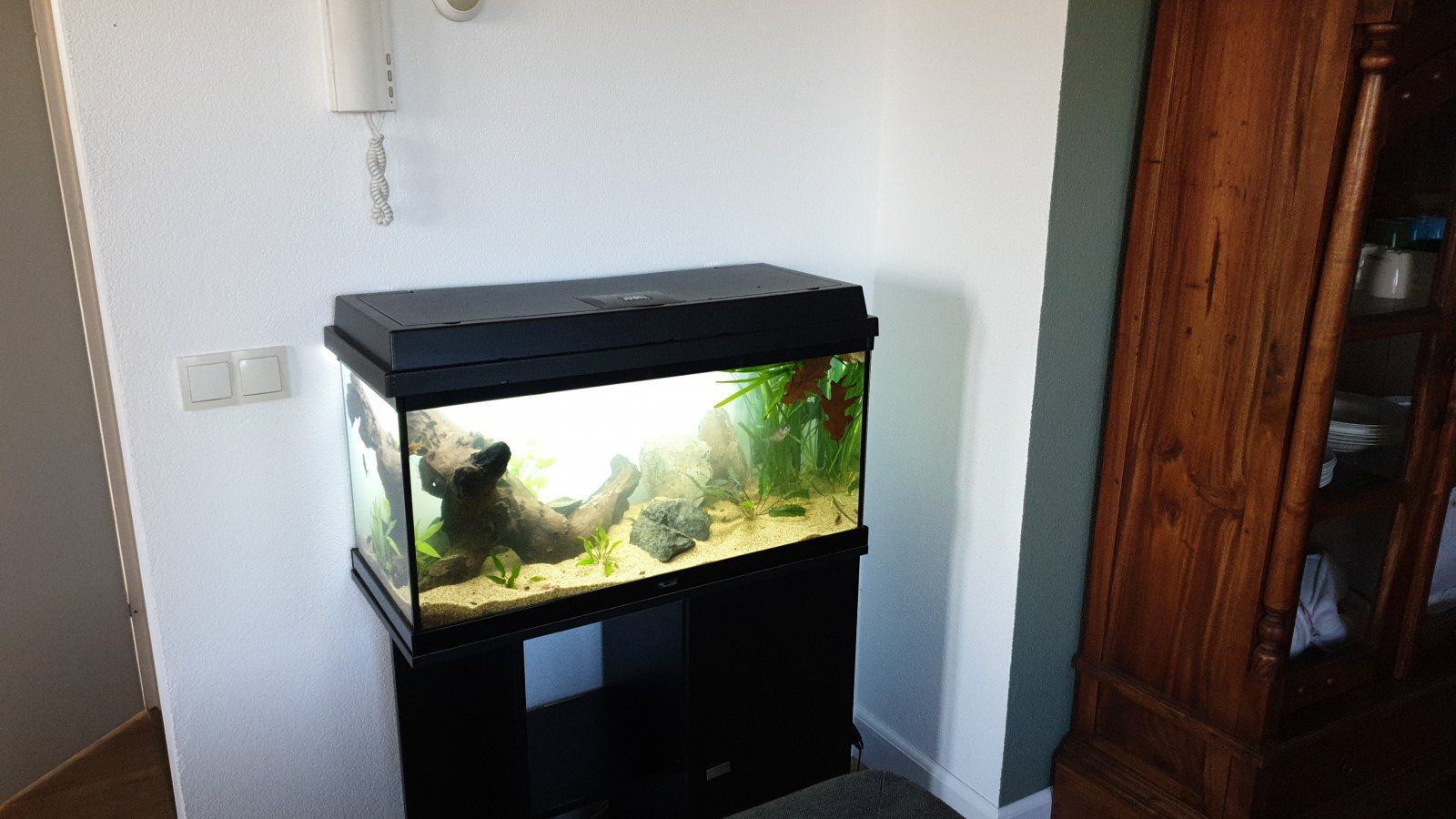 IMG-20211024-WA0004.jpeg