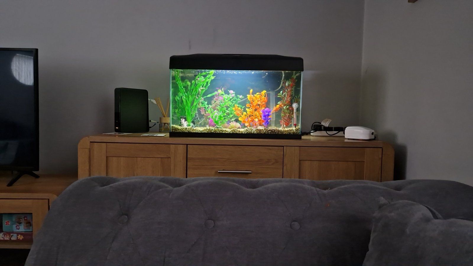 IMG-20230104-WA0002.jpeg
