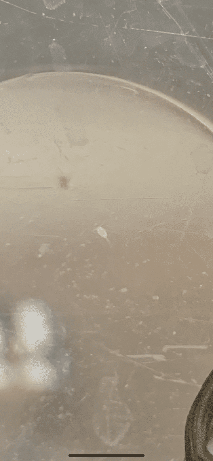 IMG-6254.PNG