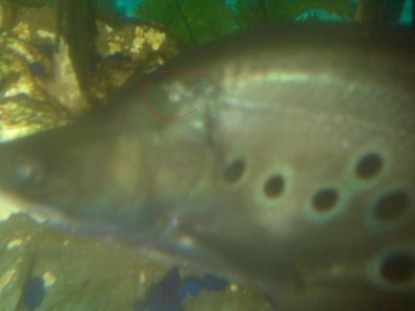 IMG00076.jpg