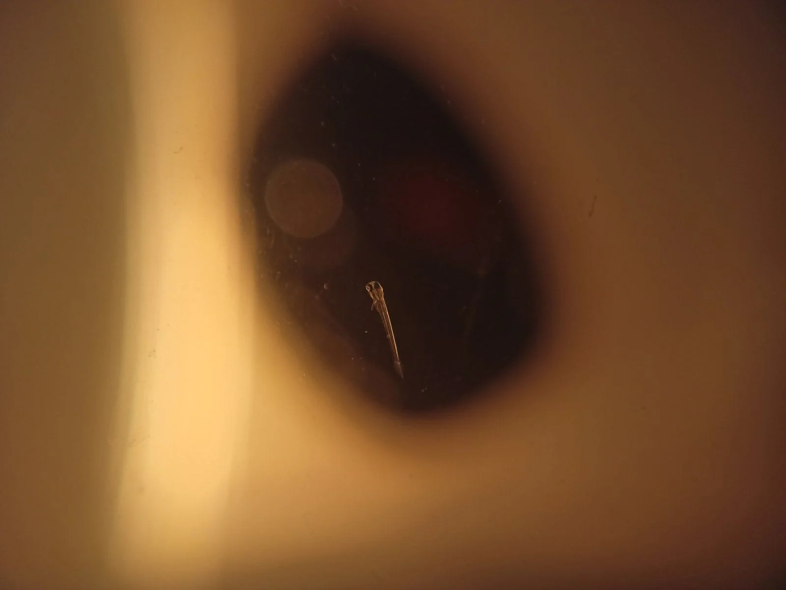 IMG20240229181944.jpg