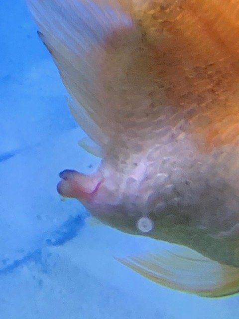 IMG_0275.jpg