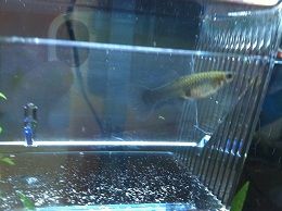 IMG_0369.JPG