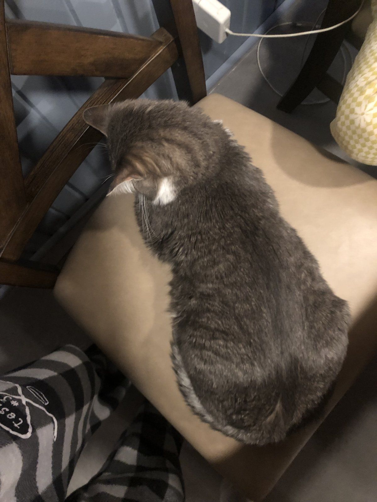 IMG_0376.jpeg