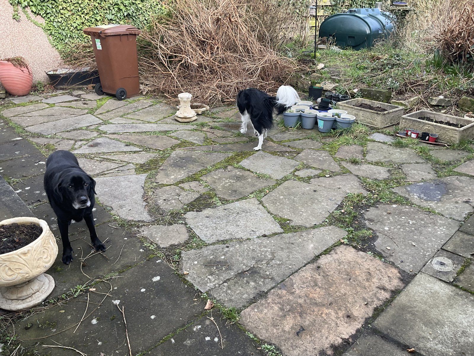 IMG_0555.jpeg