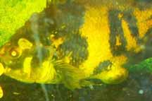 IMG_0607a_edited-2.jpg