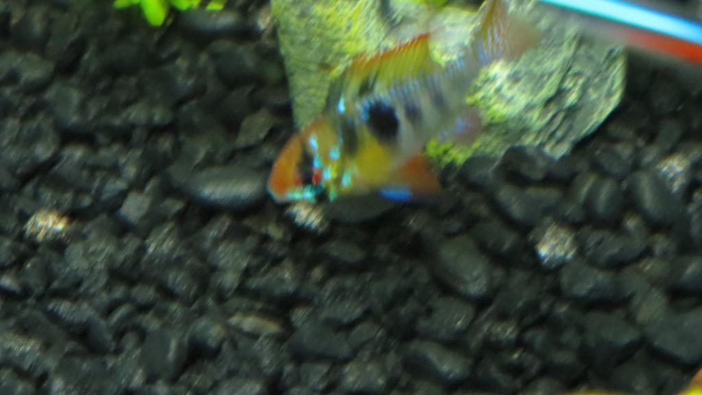 IMG_06821.JPG