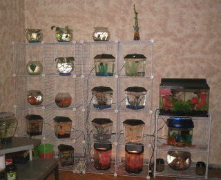 IMG_0714_1.jpg