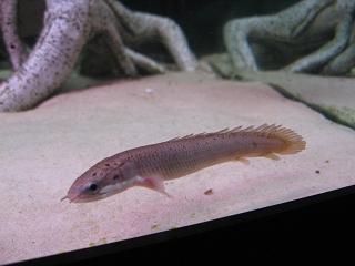 IMG_1043.JPG