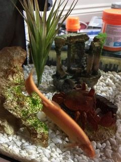 IMG_1653.jpeg