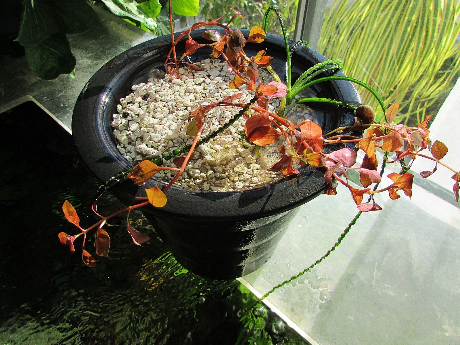 IMG_1676.JPG