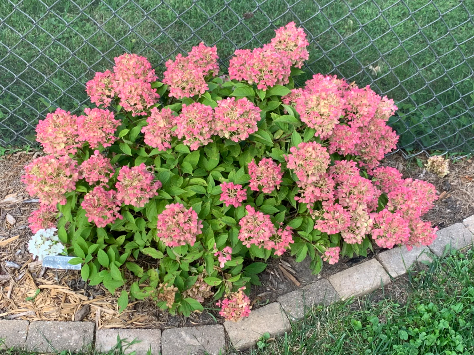 IMG_1741.webp