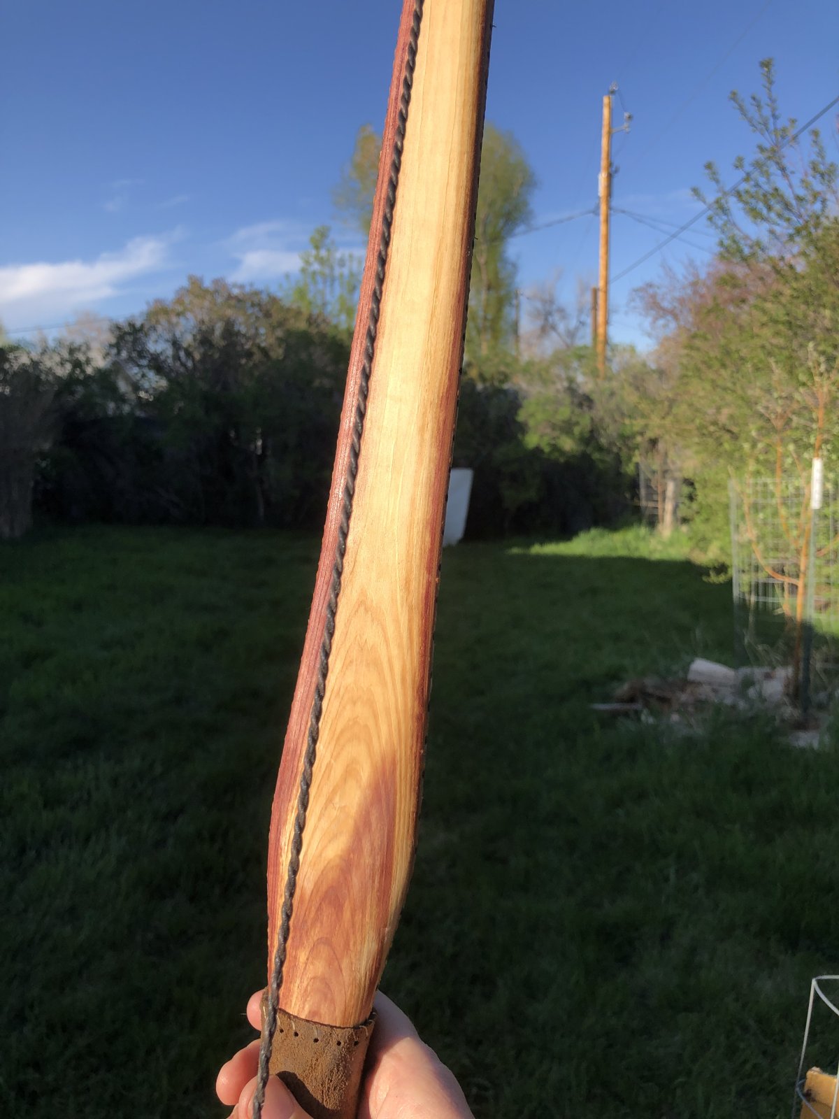 IMG_1782.jpeg