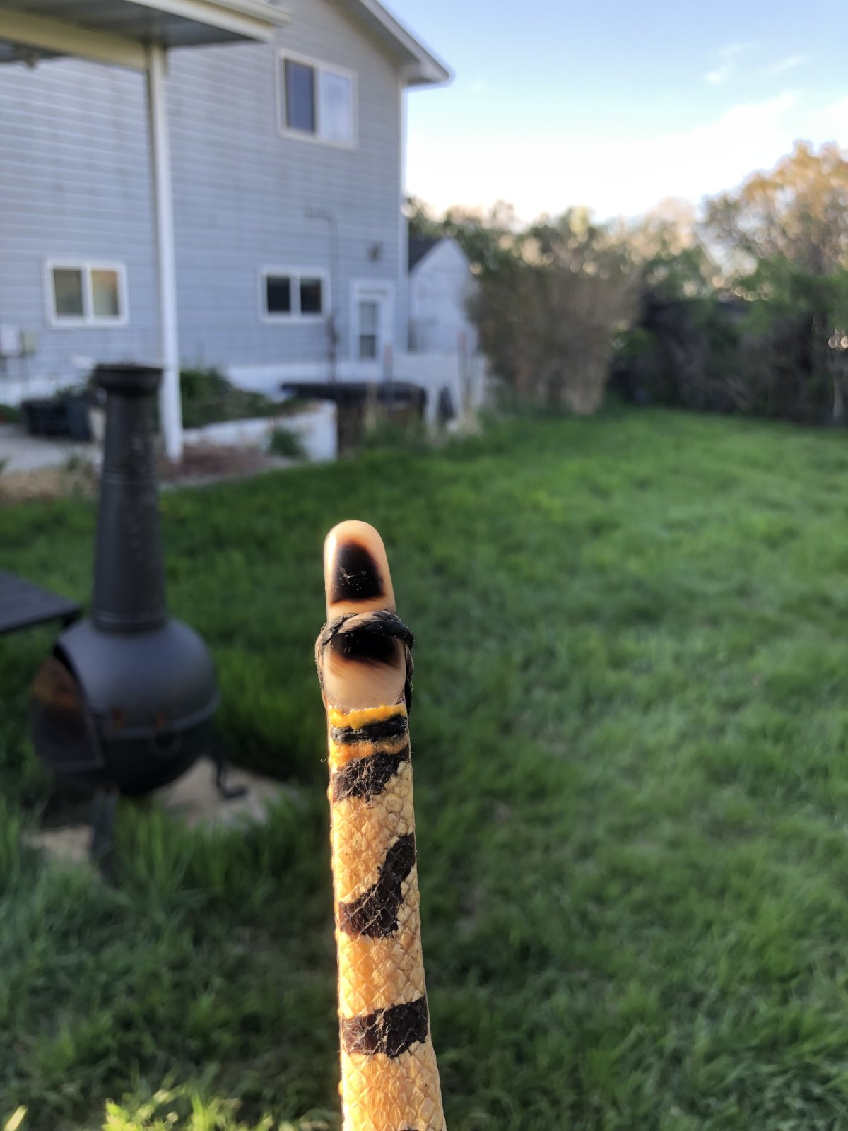 IMG_1784.jpeg