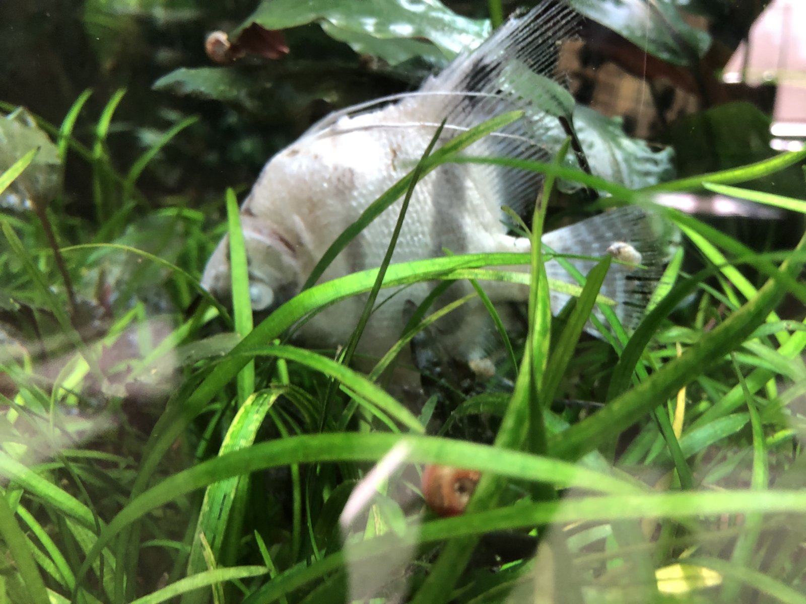 IMG_1799.jpeg