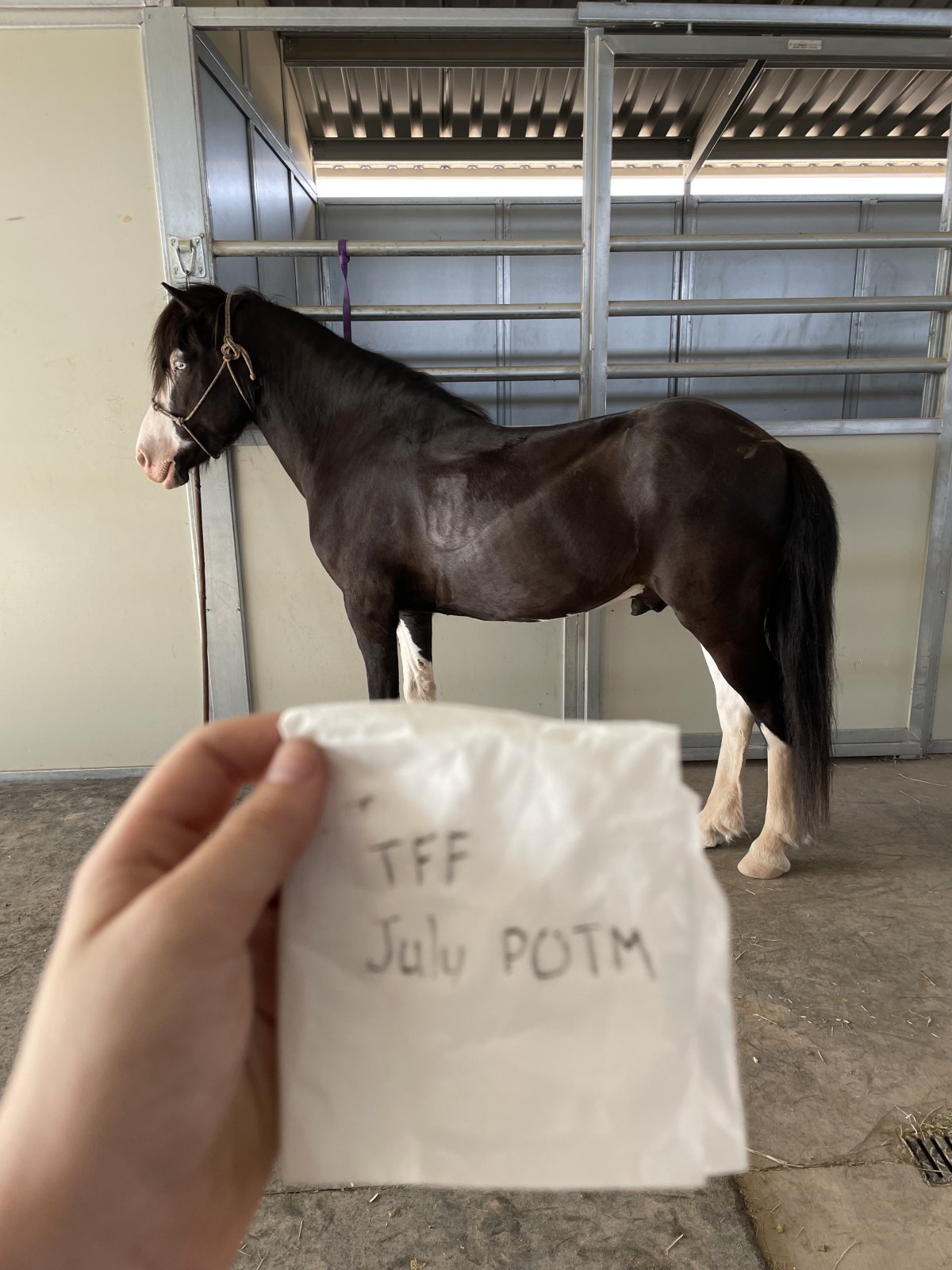 IMG_1873.jpeg