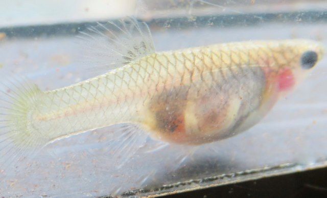 IMG_1880 (640x387).jpg