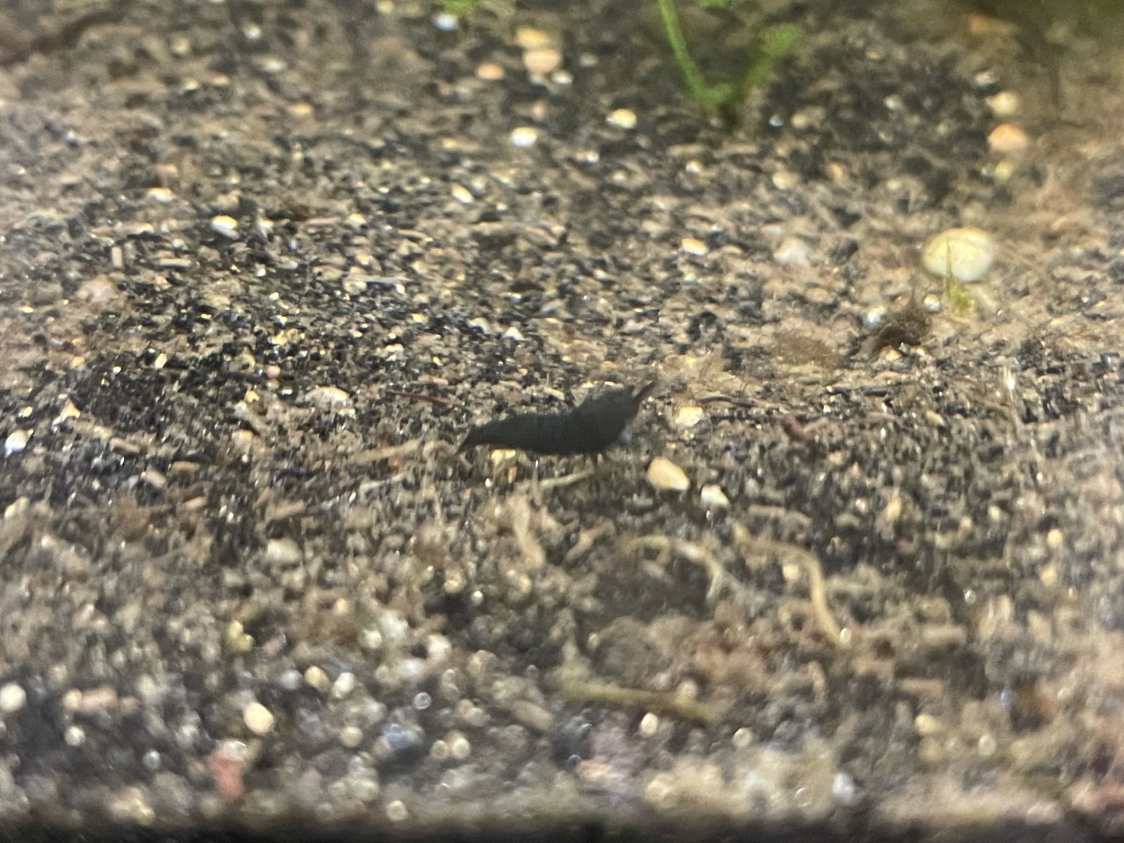 IMG_1998.jpeg