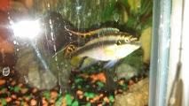 IMG_20130126_122332_654.jpg