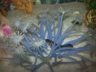 IMG_201402160984_resized.jpg