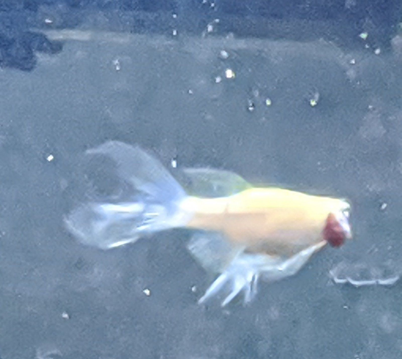IMG_20200915_211555~2.jpg