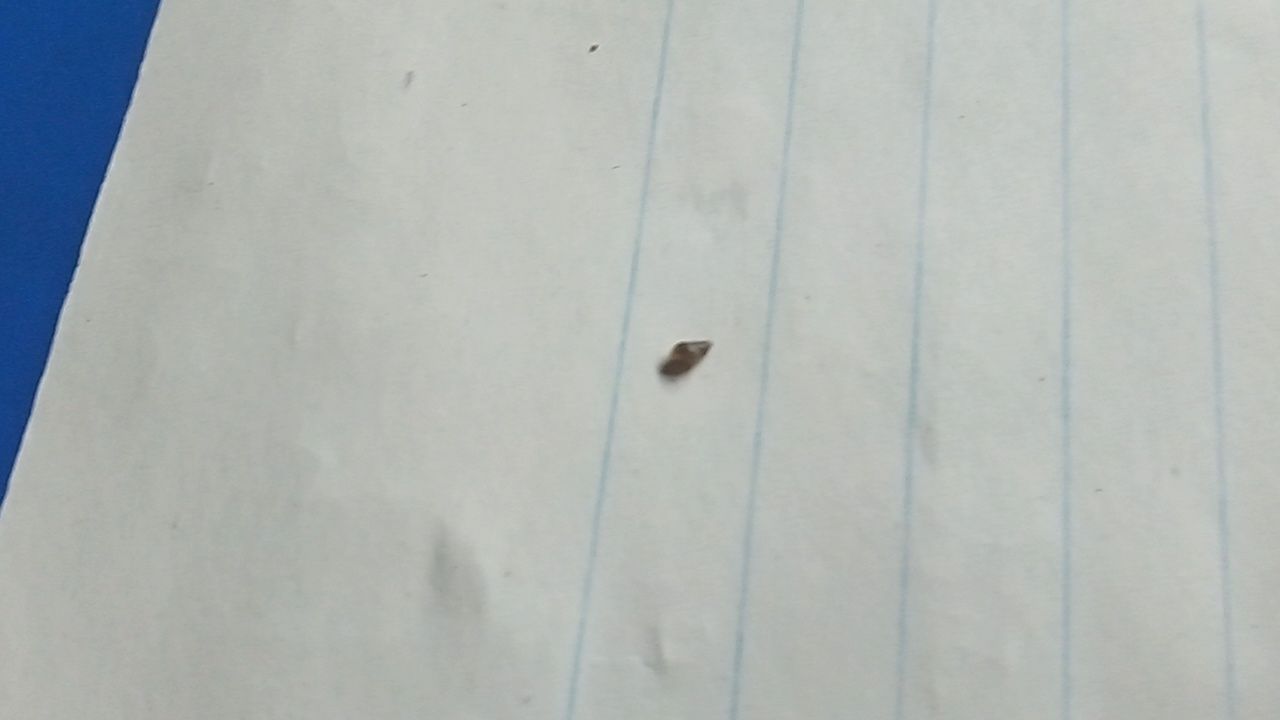 IMG_20201006_230535.jpg