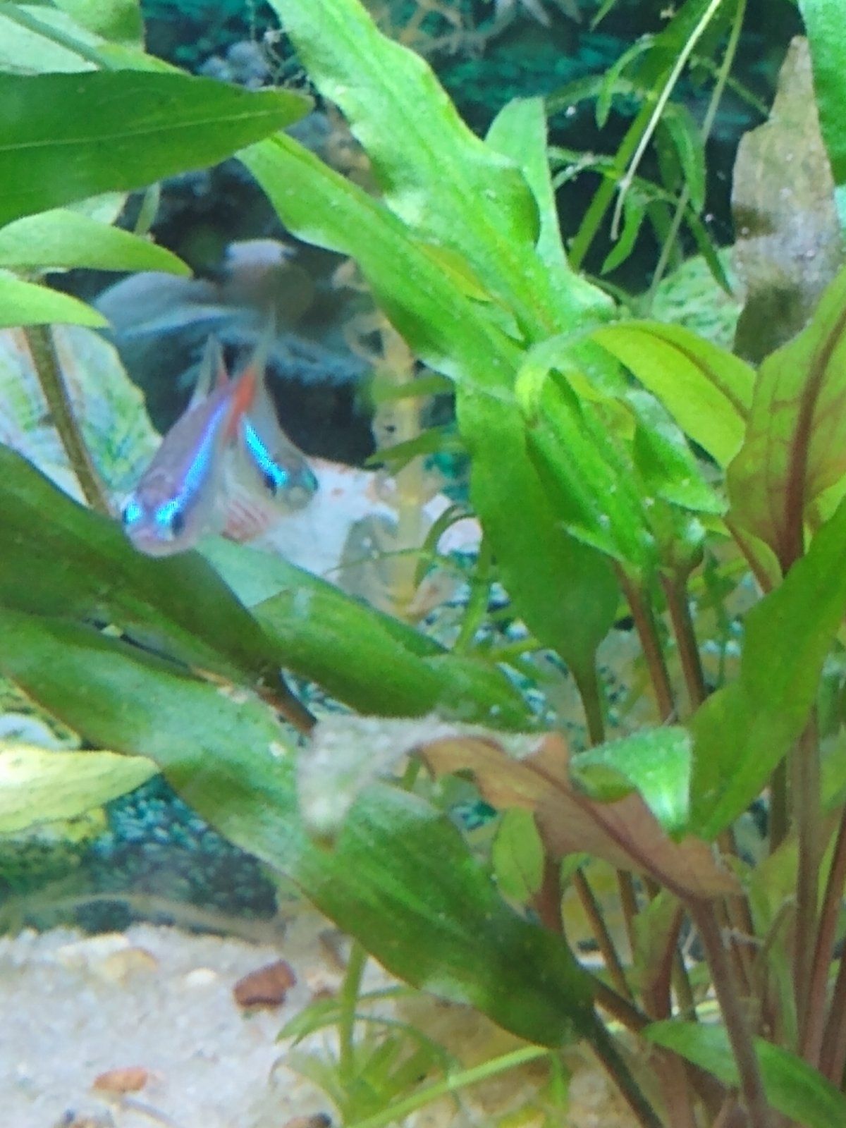 IMG_20201025_154909575.jpg