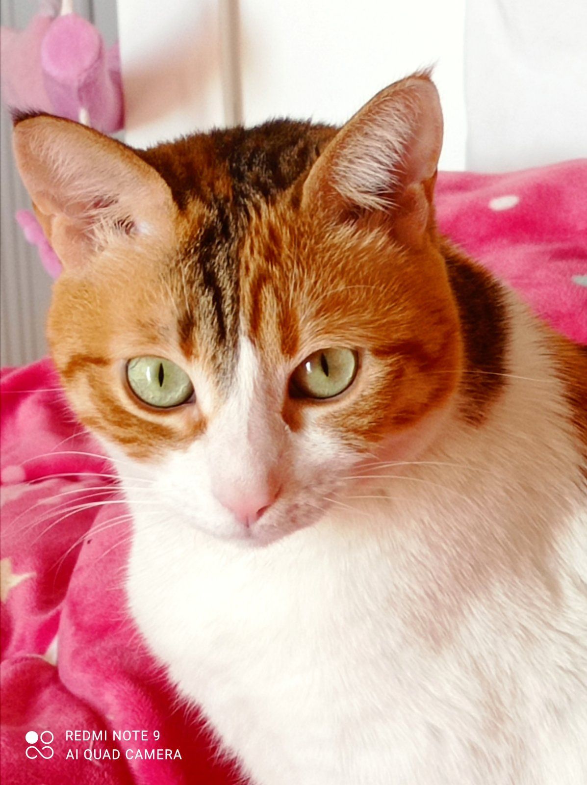 IMG_20210305_111844 (1).jpg