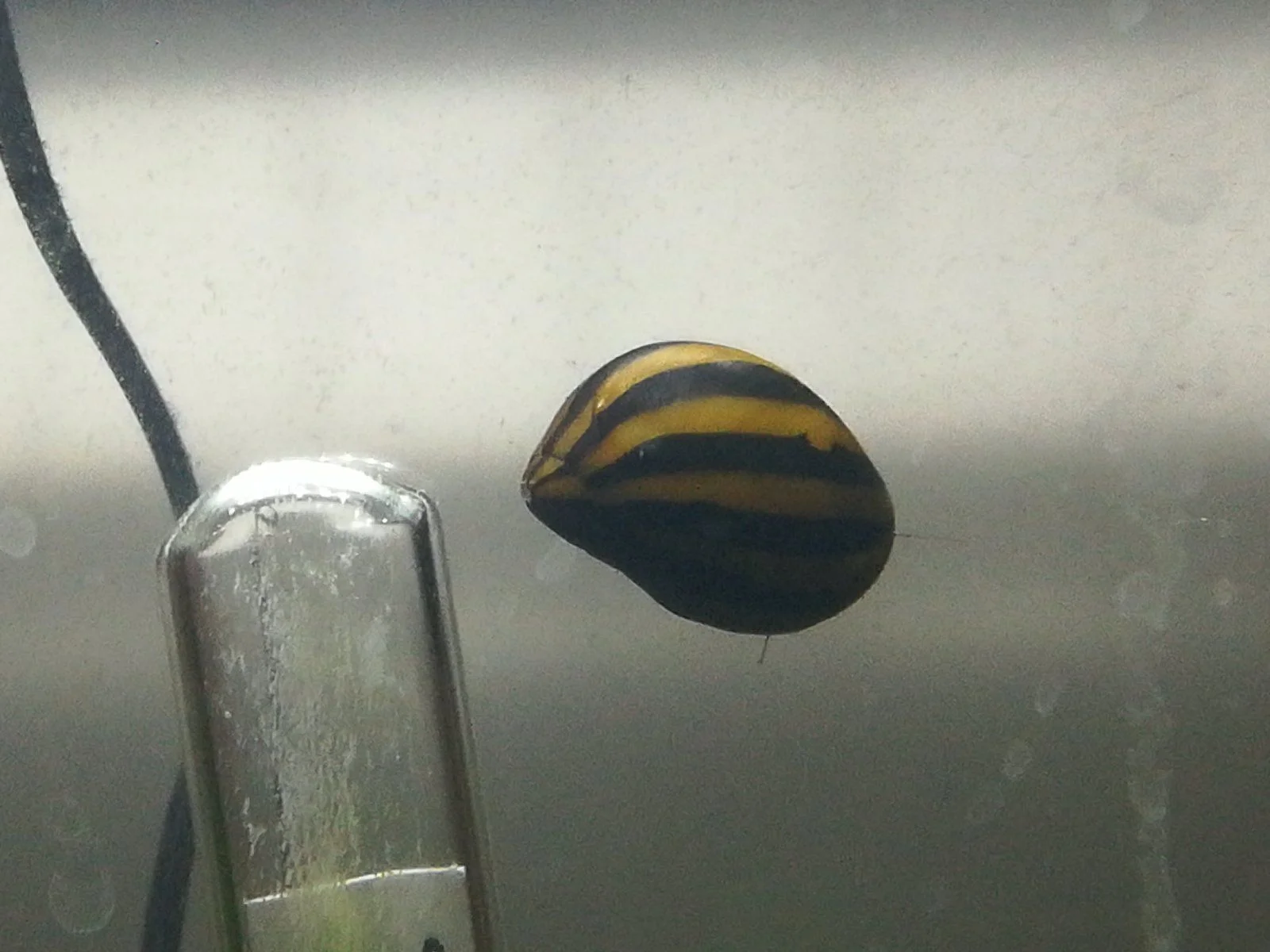 IMG_20220130_181653.jpg