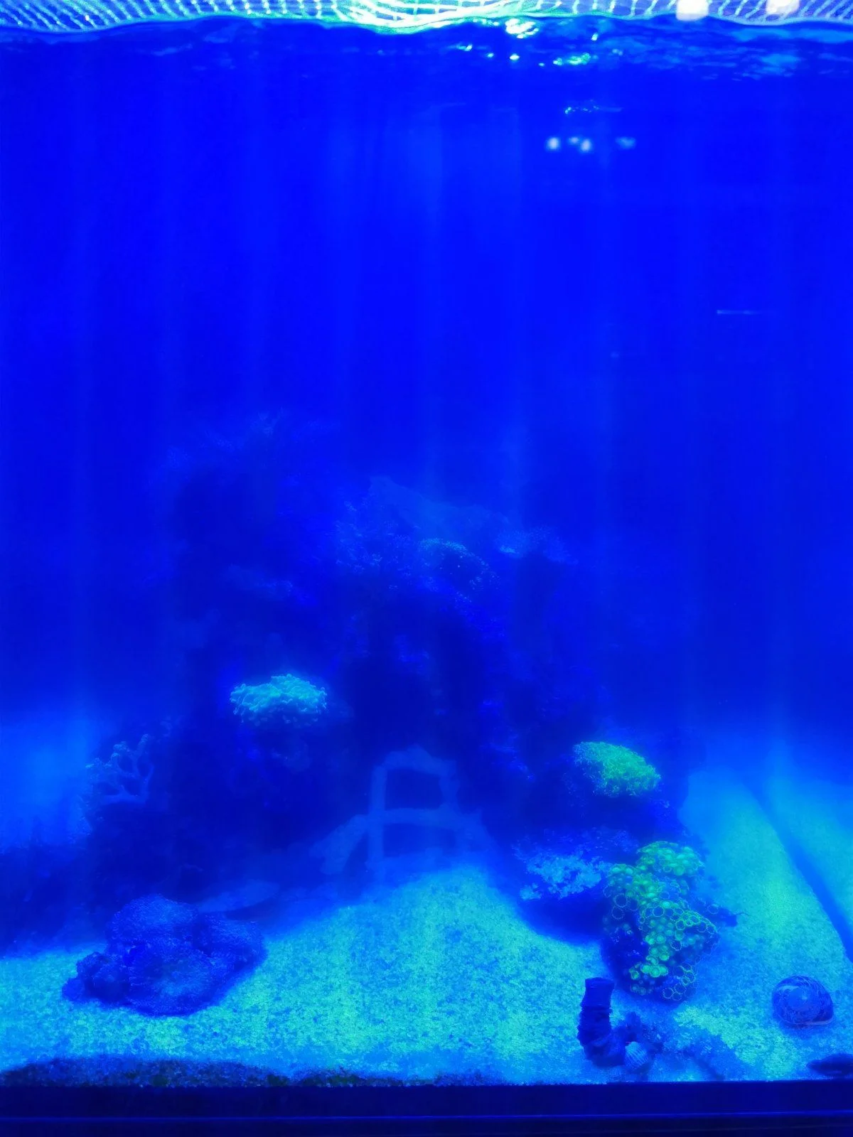 IMG_20221005_054228.jpg