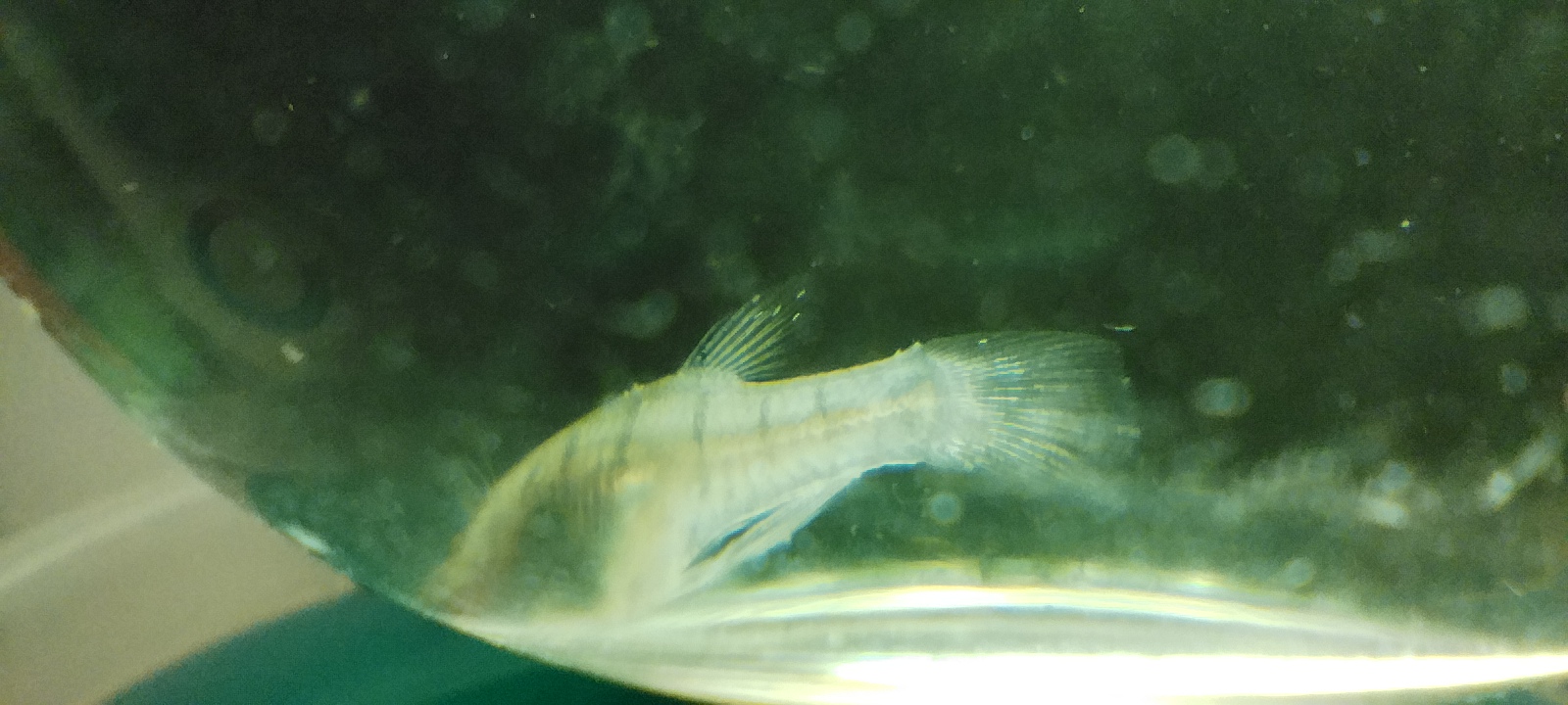 IMG_20250829_165829.jpg