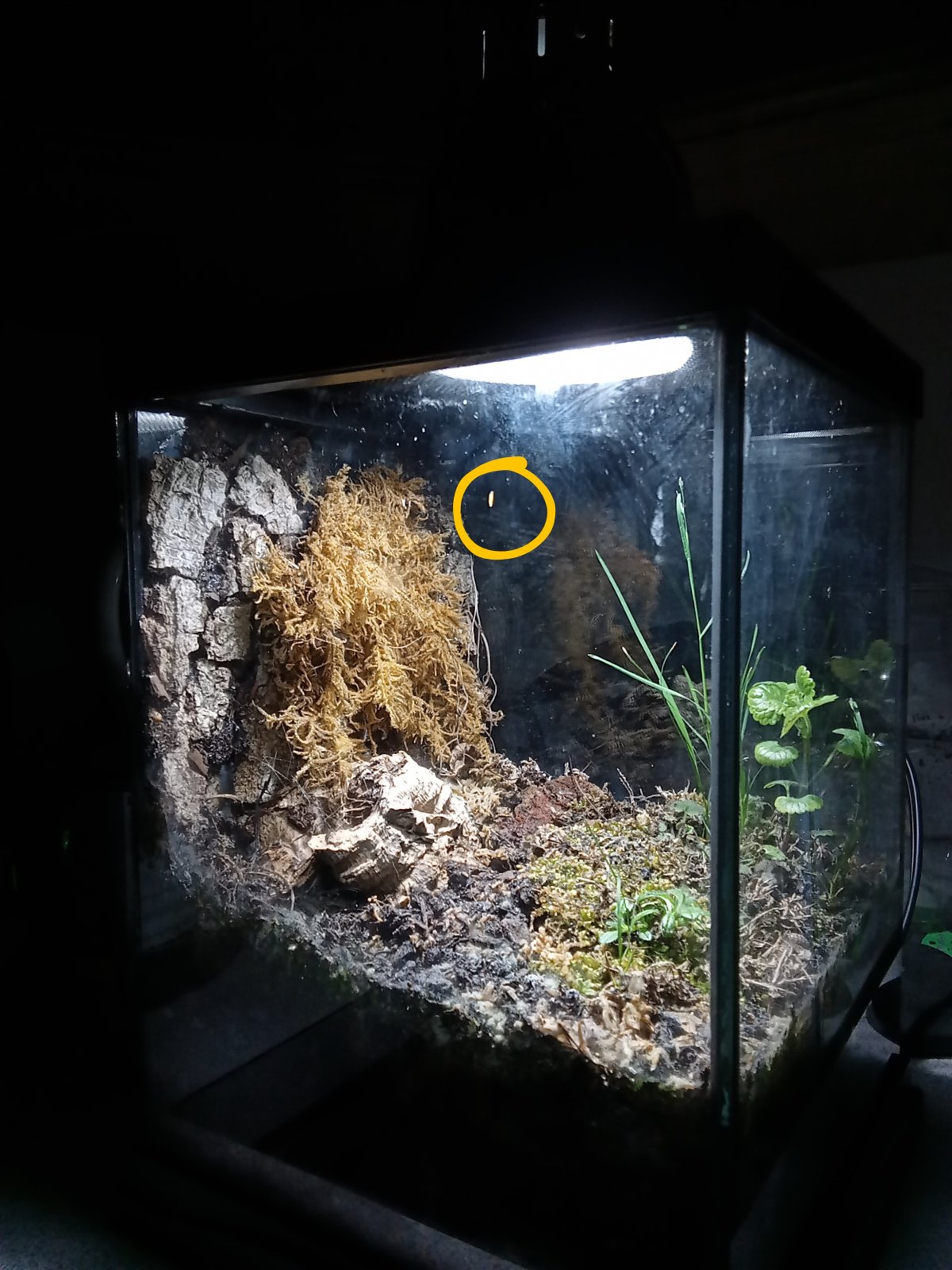 IMG_20260125_182048147 (1).jpg