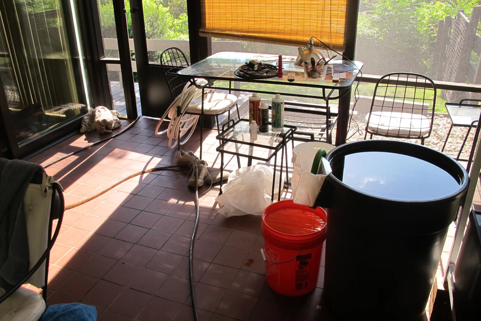 IMG_2303.webp