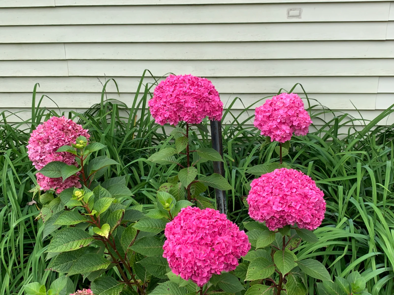 IMG_2348.webp