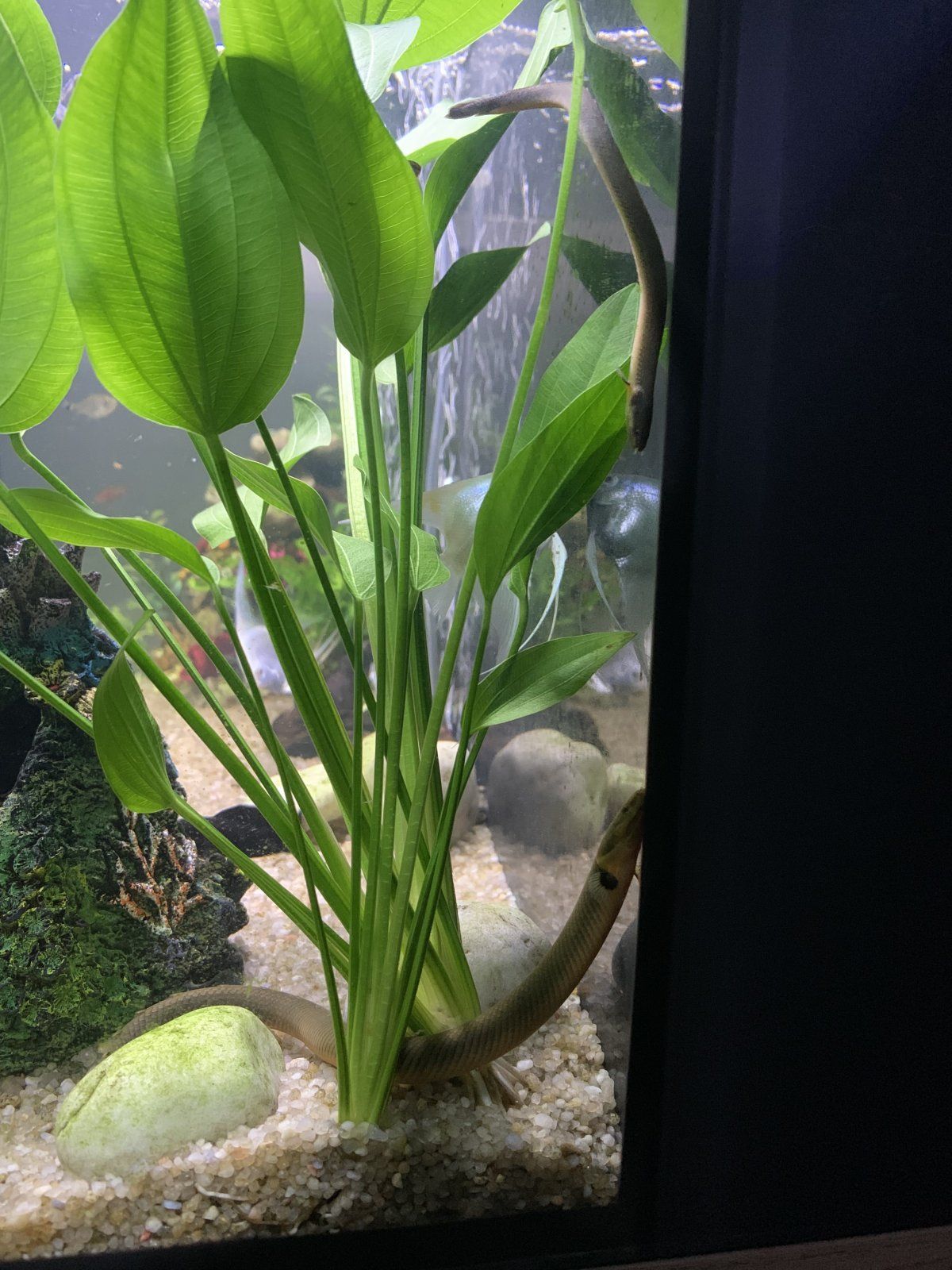 IMG_4701.jpeg