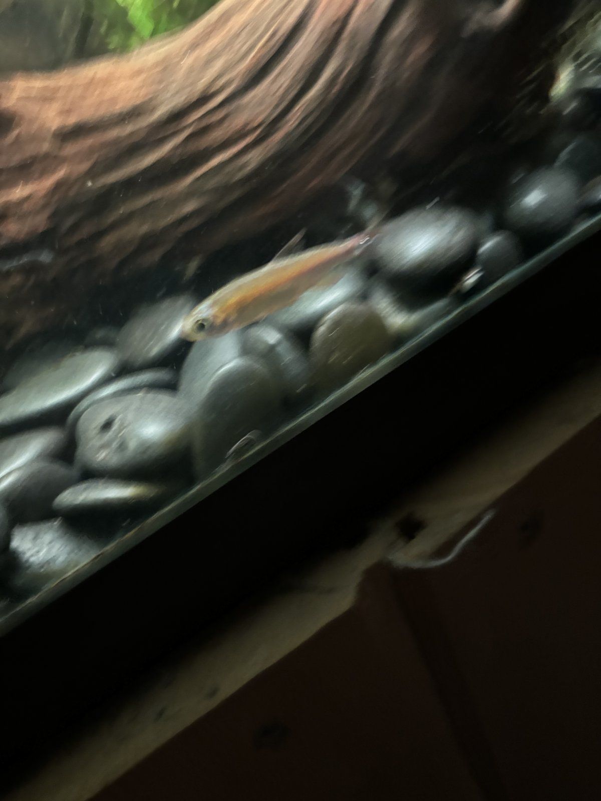 IMG_4801.jpeg